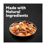 Cesar Deliciously Fresh Dog Food Pouches Mixed Selection in Jelly