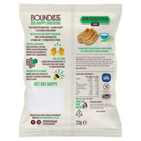 Boundless Sour Cream Onion Chips Multi-Pack