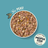 Lily's Kitchen grain-free fish pie wet dog food in can, UK version