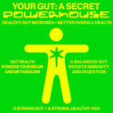 XOXO Sparkling Ginger Lemon