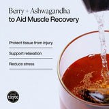 MISSION Recover Rooibos Tea Bags with Berry Ashwagandha