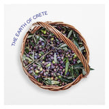 Korres Olive Blossom Pure Greek Olive Hand Creme