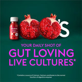 Plenish berry gut health shot, imported from the UK