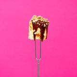 Epic giant toastin' marshmallows in a bag - British product