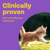 Bob Martin Clear Wormer for cats over 12 weeks 2 tablets - British product