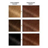 Garnier Belle Color 5.5 Natural Light Auburn Permanent Hair Dye