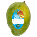 ASDA Tropical Large Mango Fresh Fruit