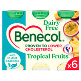 Benecol Tropical Fruits Soya Yogurt Drink 6 x 65.5g (393g)