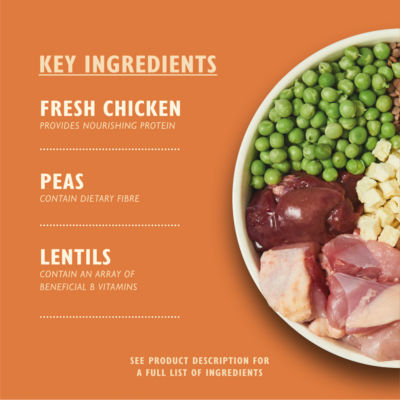 Lily's Kitchen Chicken & Duck Dog Food 1kg, UK version