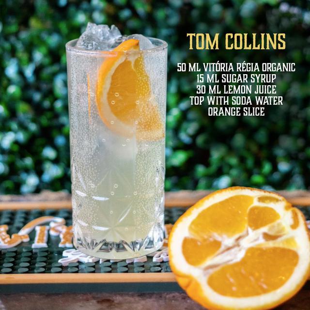 Vitoria Regia Organic Gin 70cl GOODS M&S