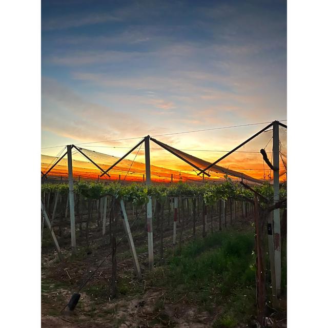 Terra Organica Malbec 75cl GOODS M&S