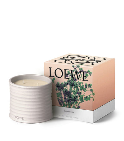 Medium Oregano Scented Candle in Handcrafted Terracotta Vessel 610g