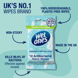 Wet Ones Be Gentle antibacterial hand wipes x 12 (British brand)