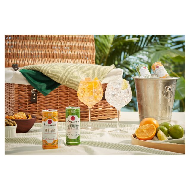 Tanqueray Flor De Sevilla Gin & Tonic Ready to Drink Can 250ml GOODS M&S