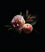 Elegant Floral Chypre Perfume with Peach and Woody Notes 50ml