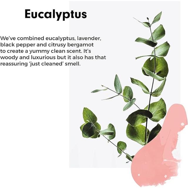 Wilton London Eco Washing-Up Liquid Eucalyptus 500ml GOODS M&S