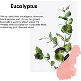 Wilton London Eco Washing-Up Liquid Eucalyptus 500ml GOODS M&S