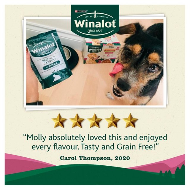 Winalot Meaty Chunks Mixed in Jelly Wet Dog Foody 80 x 100g GOODS M&S