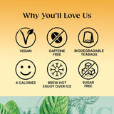 Twinings Organic Peppermint Tea 20 per pack GOODS M&S