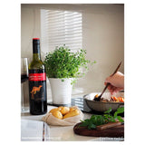 Yellow Tail Jammy Red Roo 75cl GOODS M&S