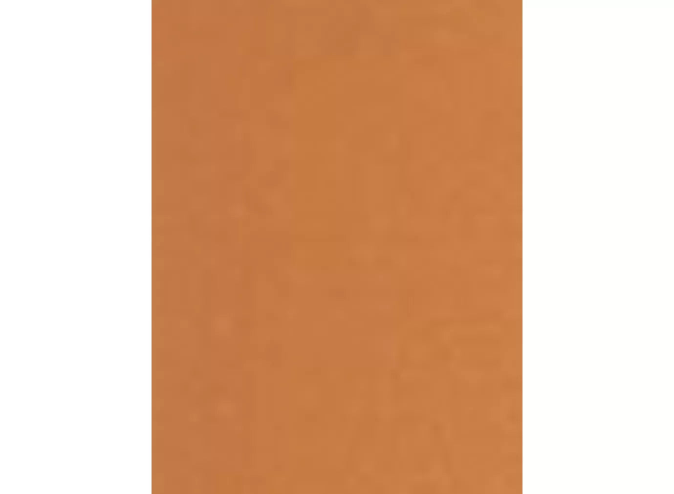 Charlotte Tilbury Unreal Skin Foundation Stick - McGrocer