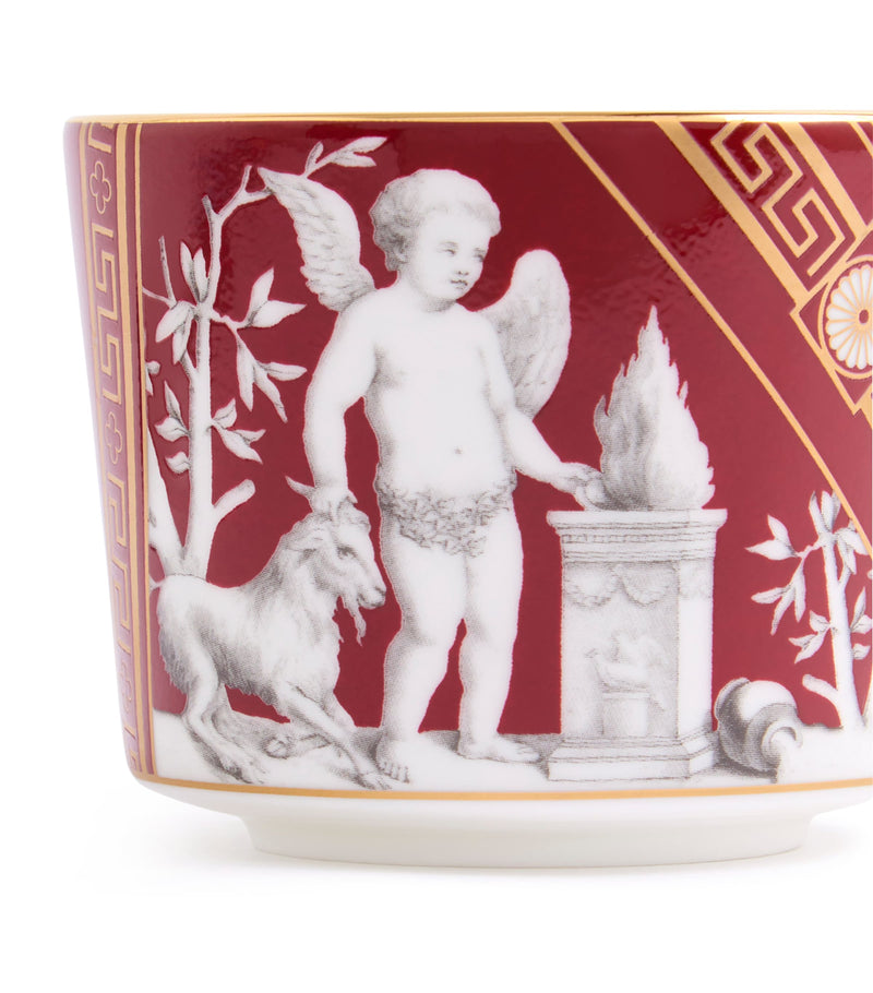 Wedgwood Renaissance teacup and saucer set (British brand)