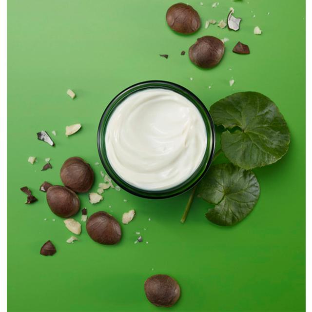 Weleda Skin Food Nourishing Night Cream 40ml GOODS M&S