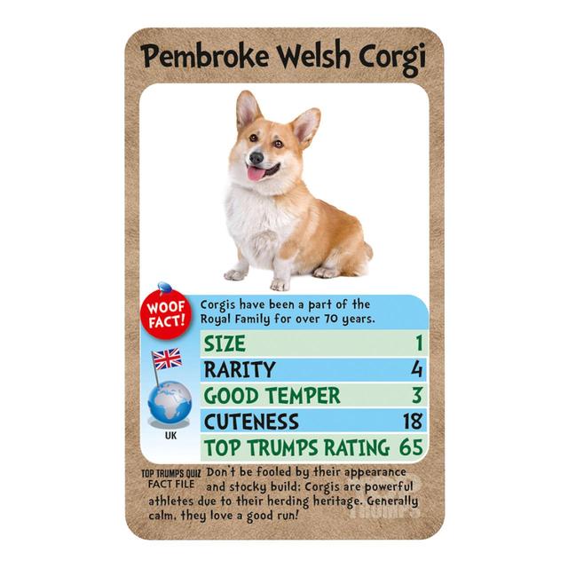 Top Trumps Dogs GOODS M&S