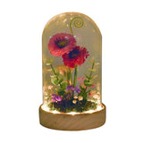 The Cottage Glass Flower Vase With Dome GOODS Superdrug