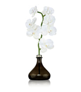 Senti The Orchid Amber and Oud Reed Diffuser 250ml