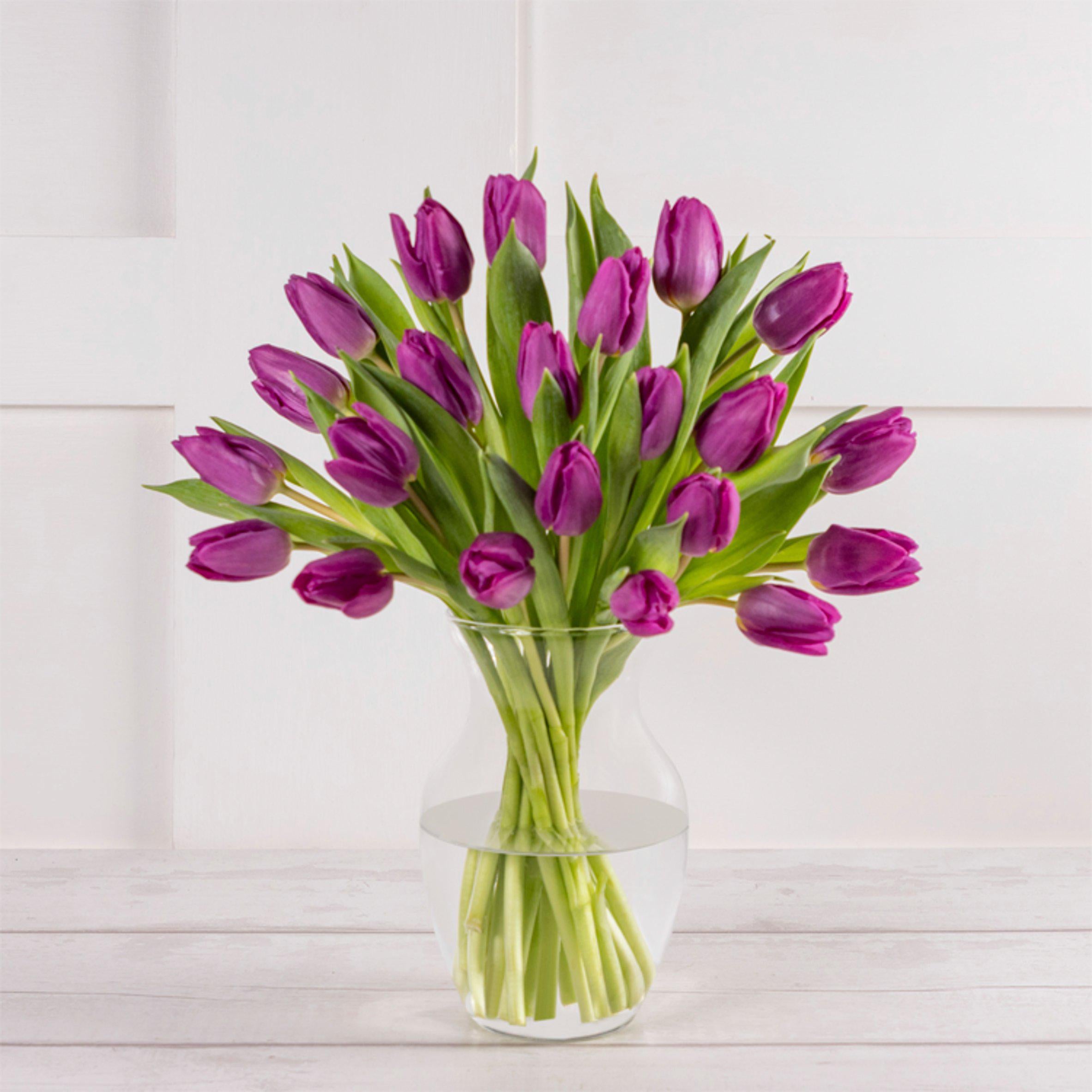 Tulip Abundance GOODS Sainsburys