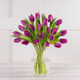 Tulip Abundance GOODS Sainsburys