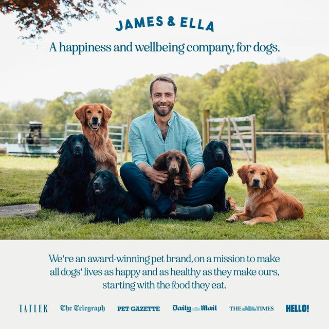 James & Ella freeze dried country game dog treats 40g, UK version