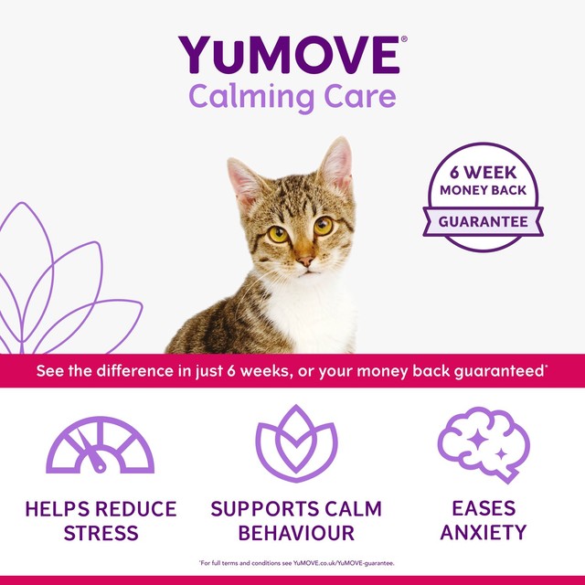 Lintbells YuMOVE cat calming supplement (British brand)