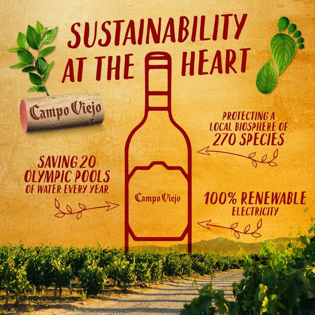 Campo Viejo white wine Rioja Blanco 75cl - British product