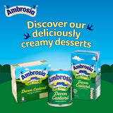 Ambrosia Devon custard 500g carton - British product