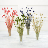Long-Lasting Dried Phalaris Flowers Bouquet for Home Decoration