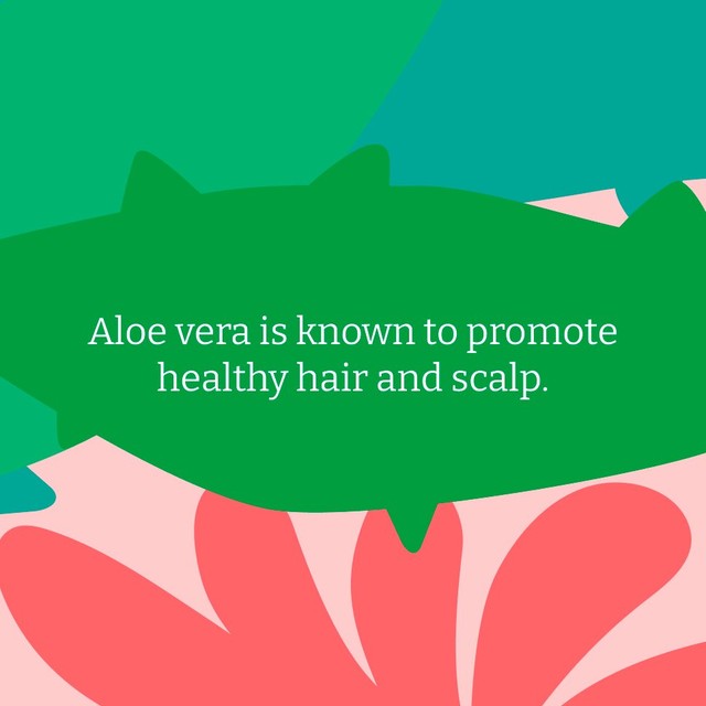 Faith in Nature aloe vera shampoo 400ml - British product