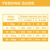 Coya Freeze-Dried Raw Puppy Food Chicken 150g - British product
