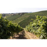 Bricchetto Montepulciano D'Abruzzo red wine 75cl - British product