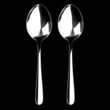 Tala stainless steel serving spoons set of 2 (British brand)