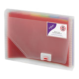 Snopake A4 rainbow portable organiser with dividers and tabs (British brand)