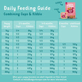 Edgard & Cooper beef and duck wet dog food 150g - British product