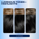 Clairol Nice'n Easy 2 Black hair dye box - British product
