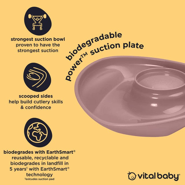 Vital Baby suction plate natural berry (British brand)