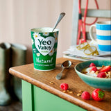 Yeo Valley natural yogurt 450g (British brand)