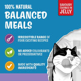 Felix Kitten wet cat food Mixed Selection jelly 12x85g - British product