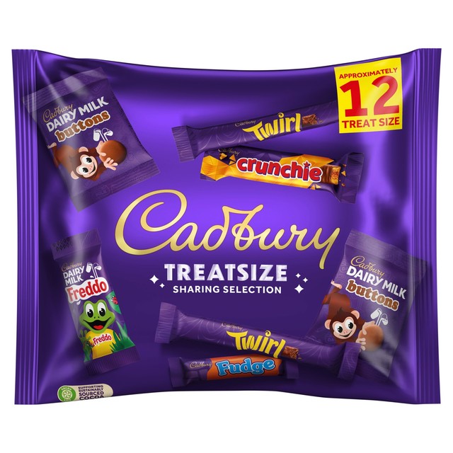 Cadbury Family TreatSize assorted milk chocolate treats 223g - British product