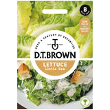 Mr Fothergills Seeds D.T. Brown Lettuce Little Gem Vegetable Seeds 1000 Seeds