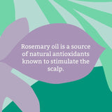 Faith in Nature Rosemary Conditioner 400ml - British product